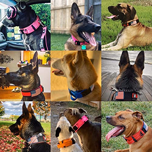 DEZIZEUSK9 Animal Collar in 16-25 INCH, BLACK-COBVEL2