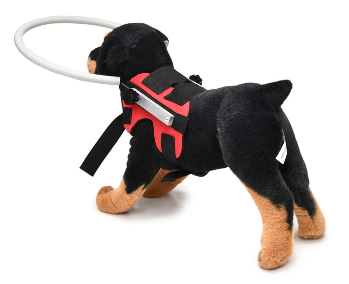 GabeFish Animal Harness in S: Recommand Weight: 8.8-22 lbs (4-10kg), Red