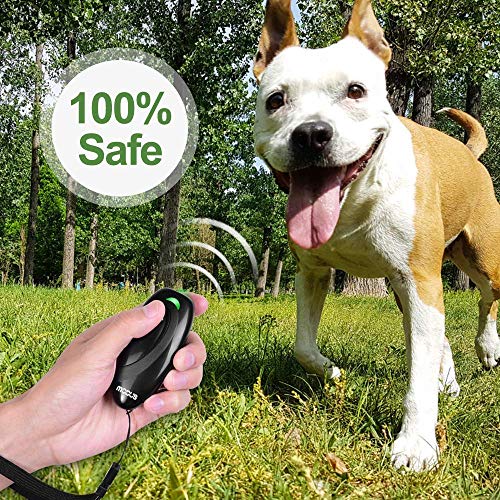MODUS Pet Supplies in Anti-Barking Device, Black