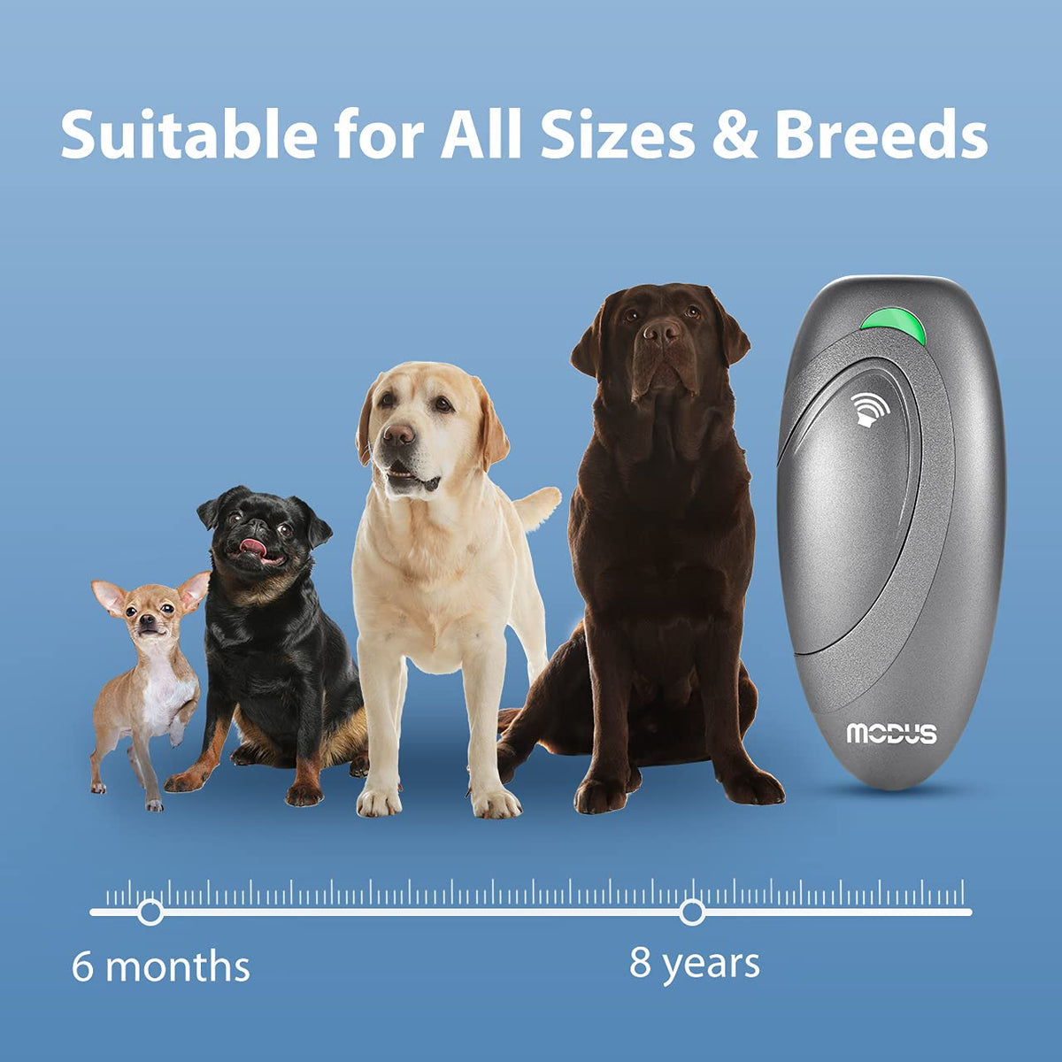 MODUS Pet Supplies in Grey Dog Barking Deterrent Devices