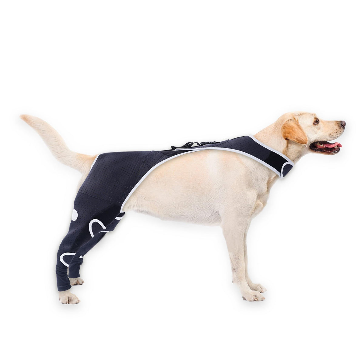 Furtent Pet Apparel in XS, black