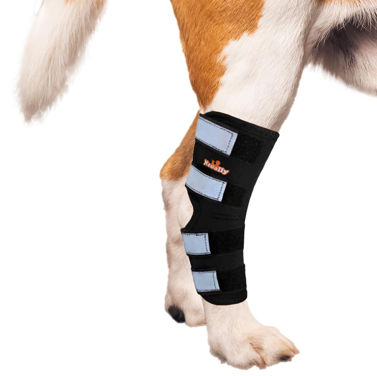 NeoAlly Pet Supplies in X-Small, Black