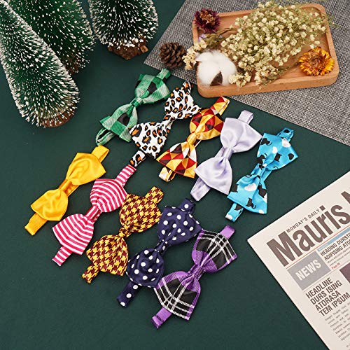Segarty Pet Apparel in Medium, 40pcs-Various