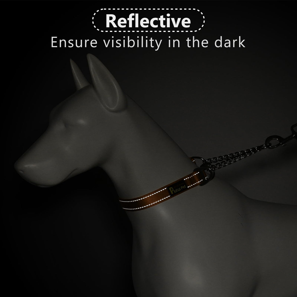 PLUTUS PET Animal Collar in Small, Orange