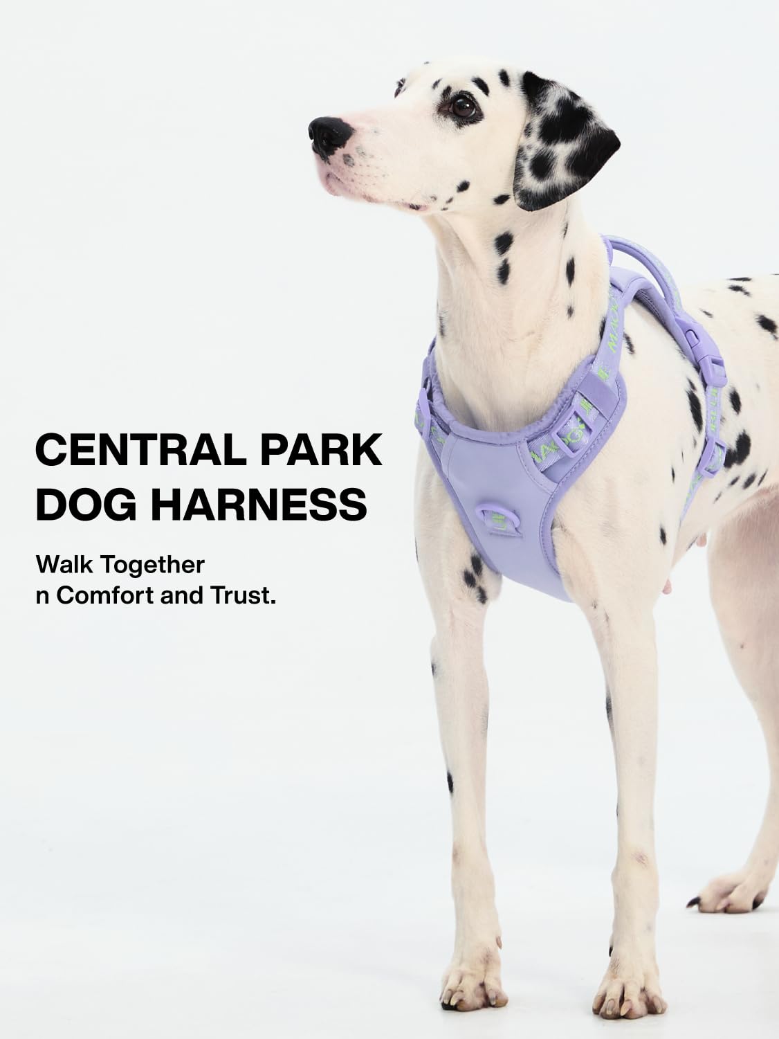 Maogoublue Animal Harness in S(Neck:11.8-17.7",Chest:17.7-21.6"), Petale Purple