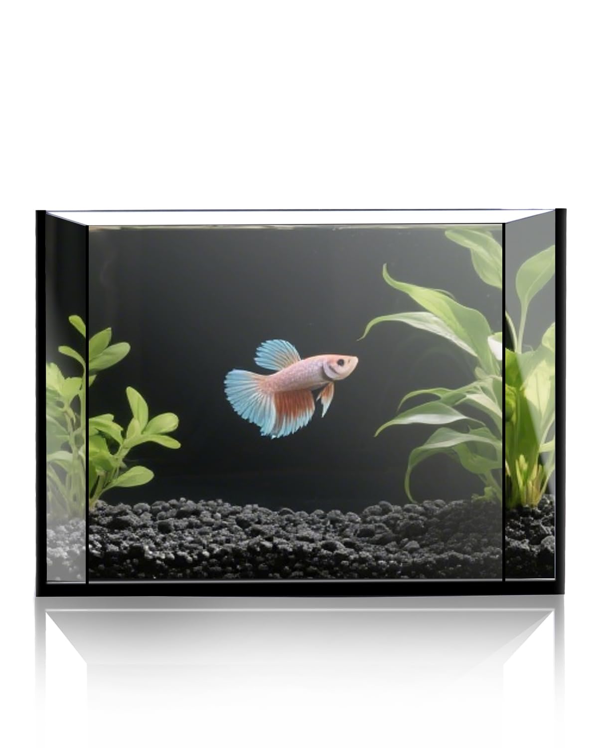minilake Vivarium in 3 Gallon, Black