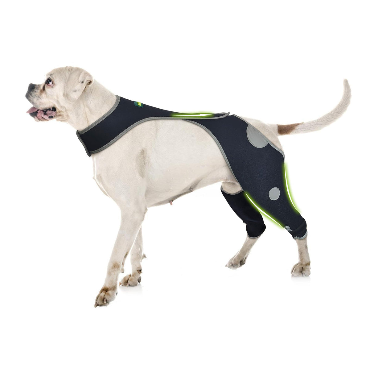 KISFLY Pet Supplies in XS, Black