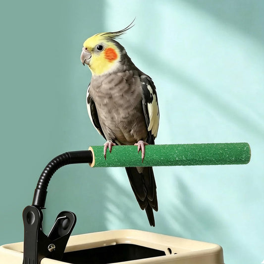 qumHmup Animal Perch in Small To Medium, 02-Parrot Perch Stand