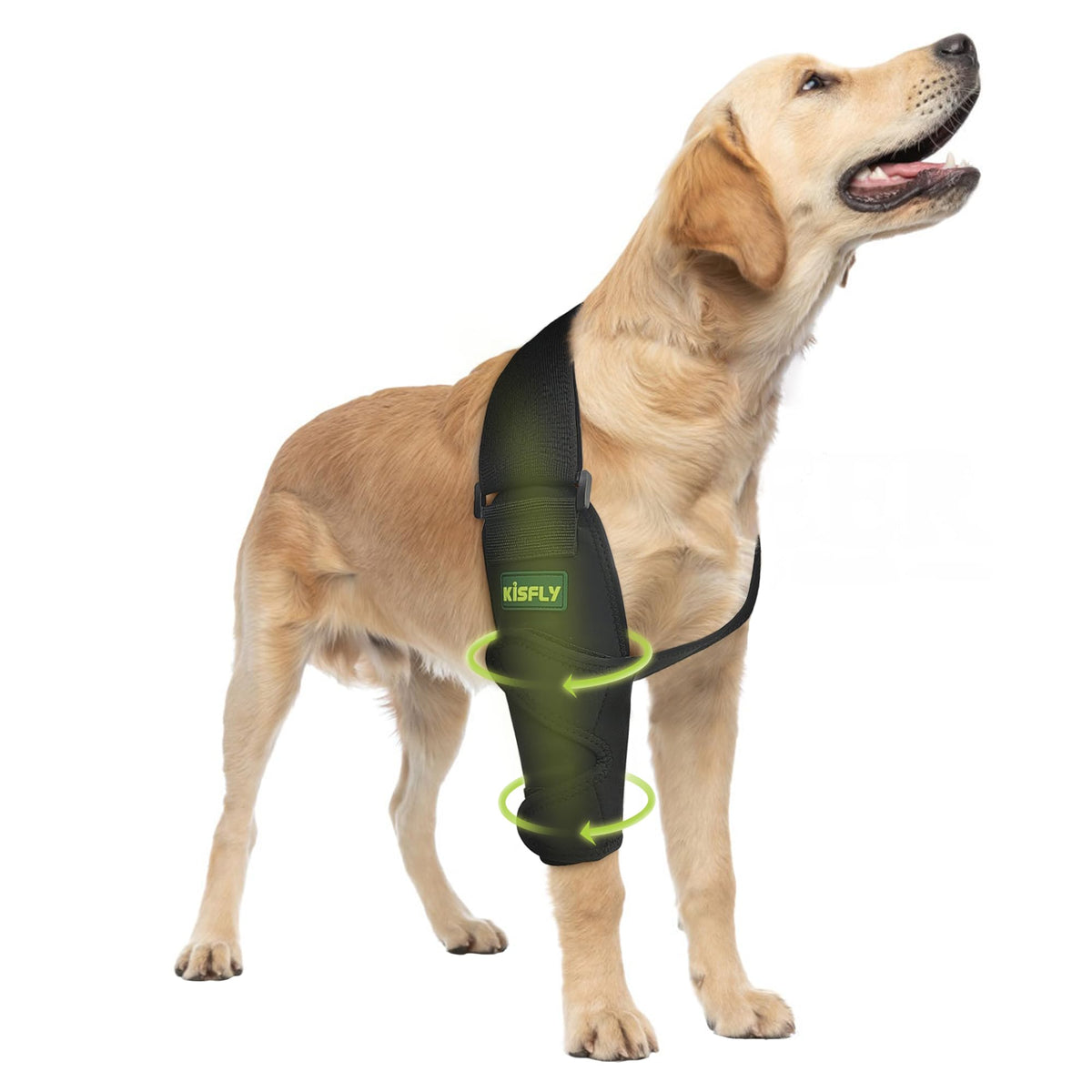 KISFLY Pet Supplies in L, Black