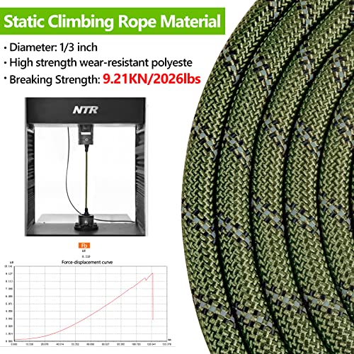 NTR Leash in 6ft*1/2", Olive