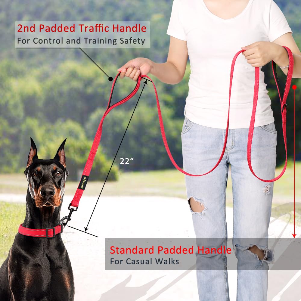 PLUTUS PET Leash in 6 FT, Red