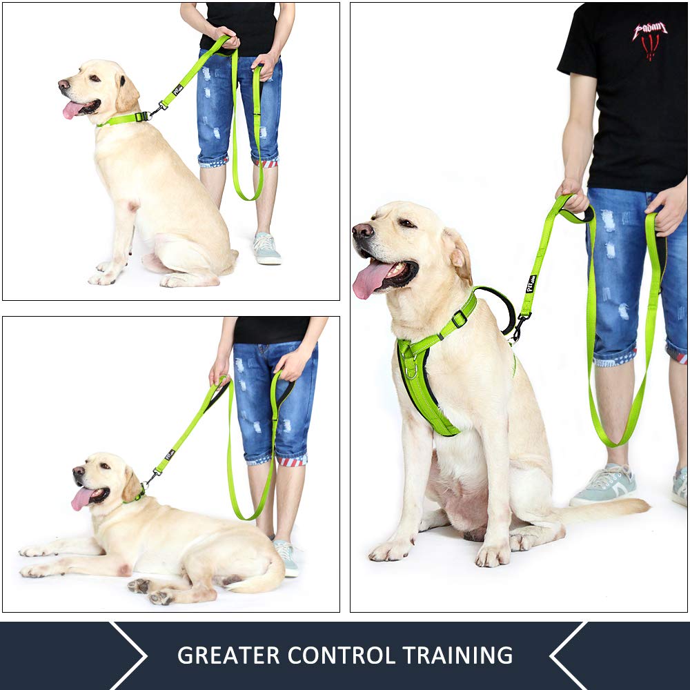 PLUTUS PET Leash in 6 FT, Green