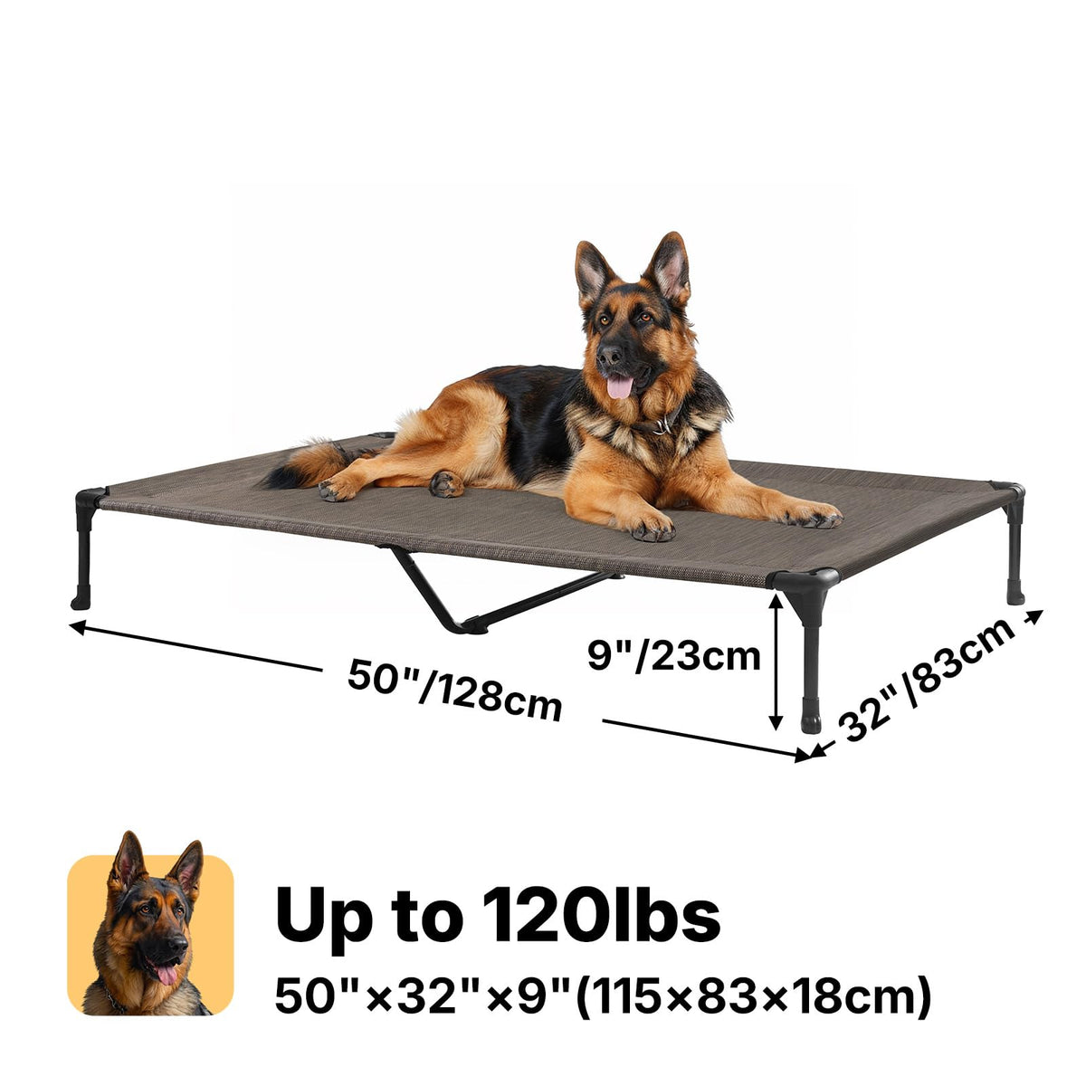 Veehoo Pet Bed Mat in 49.0"L x 33.0"W x 9.0"Th, Brown