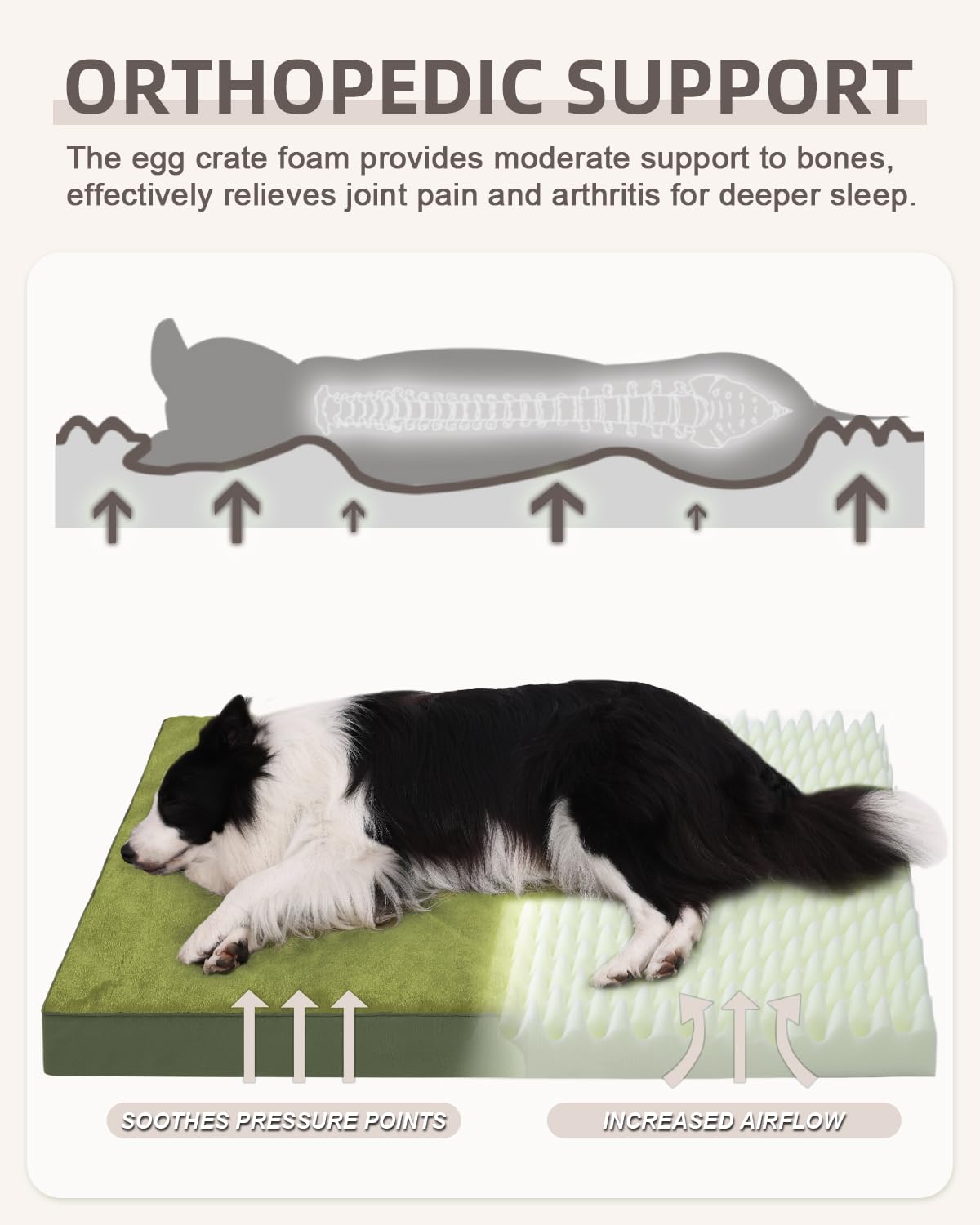 KSIIA Pet Bed Mat in 35.0"L x 22.0"W x 3.0"Th, Green