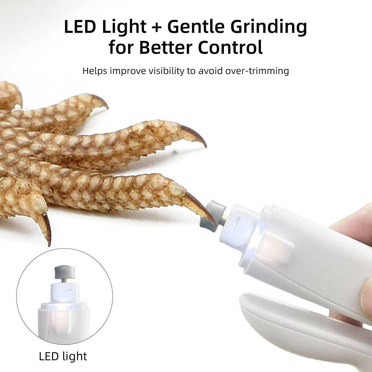 Lyrzzey Pet Supplies in White