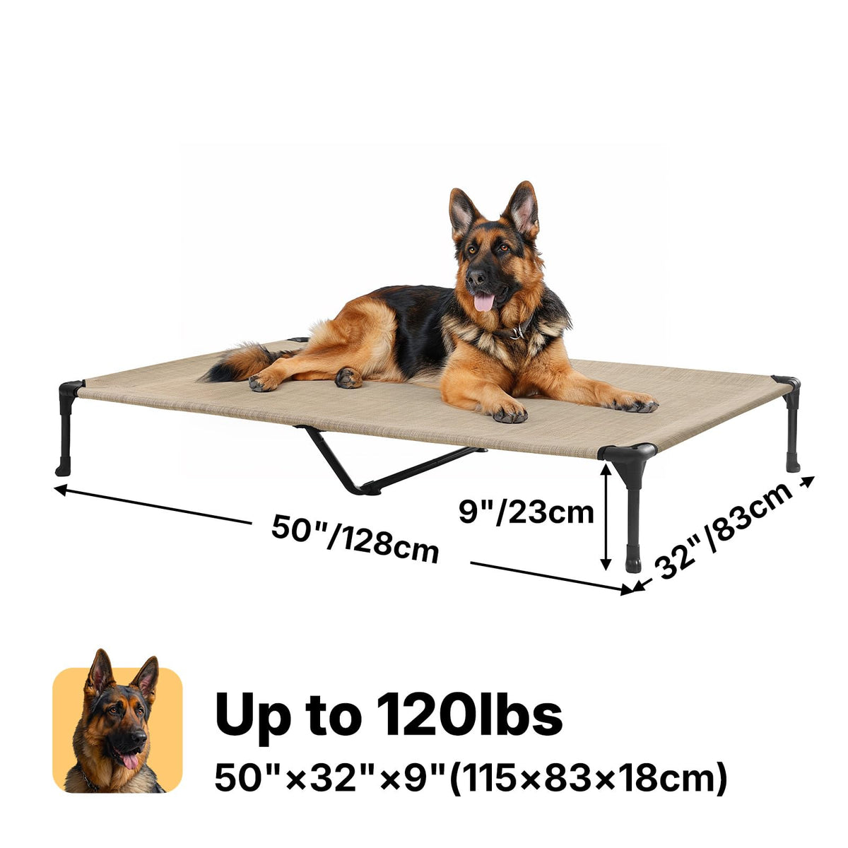 Veehoo Pet Bed Mat in 49.0"L x 33.0"W x 9.0"Th, Beige Coffee