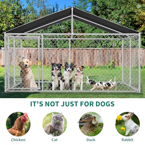 DWVO Animal Cage in 10' x 10', Silver