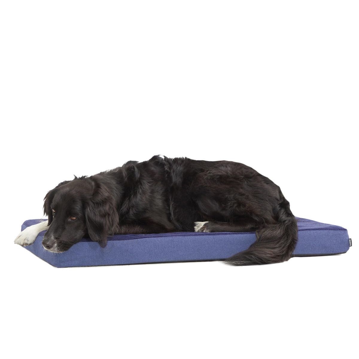 BarkBox Pet Bed Mat in Large, Navy