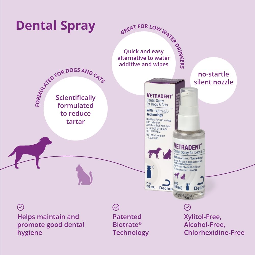 Vetradent Pet Supplies in 2oz, Clear