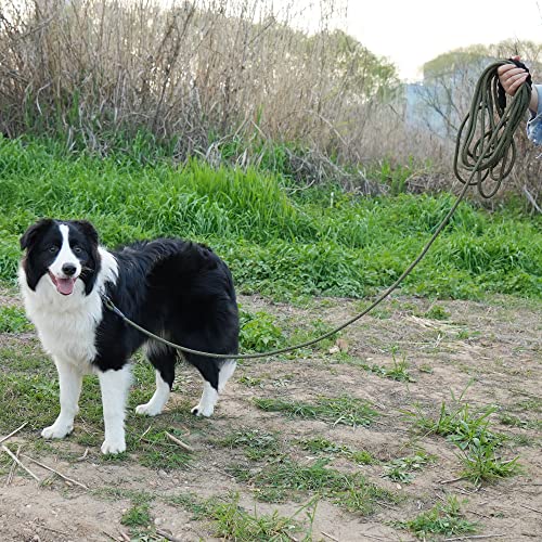 NTR Leash in 15ft*3/8", Olive