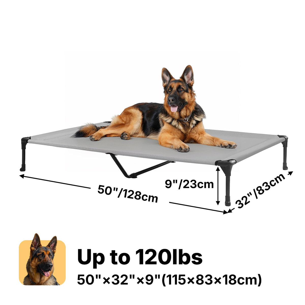 Veehoo Pet Bed Mat in 49.0"L x 33.0"W x 9.0"Th, Gray