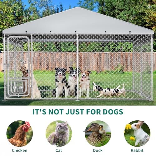 DWVO Animal Cage in 10 x 10 FT, Silver
