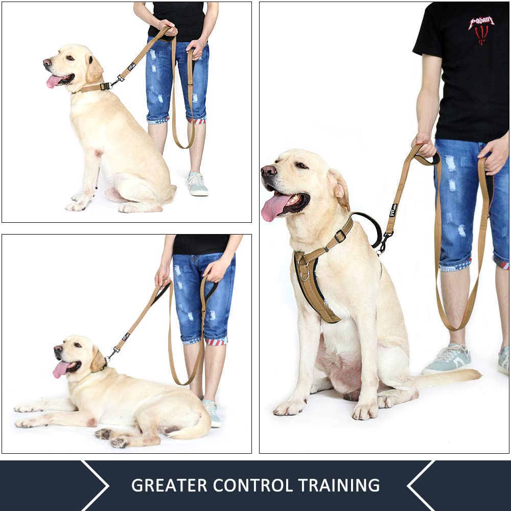 PLUTUS PET Leash in 4 FT, Brown