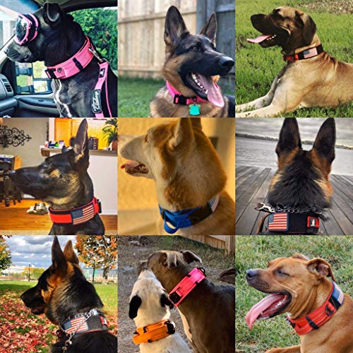 DEZIZEUSK9 Animal Collar in 16-25 INCH, NEONGREEN-COBVEL2