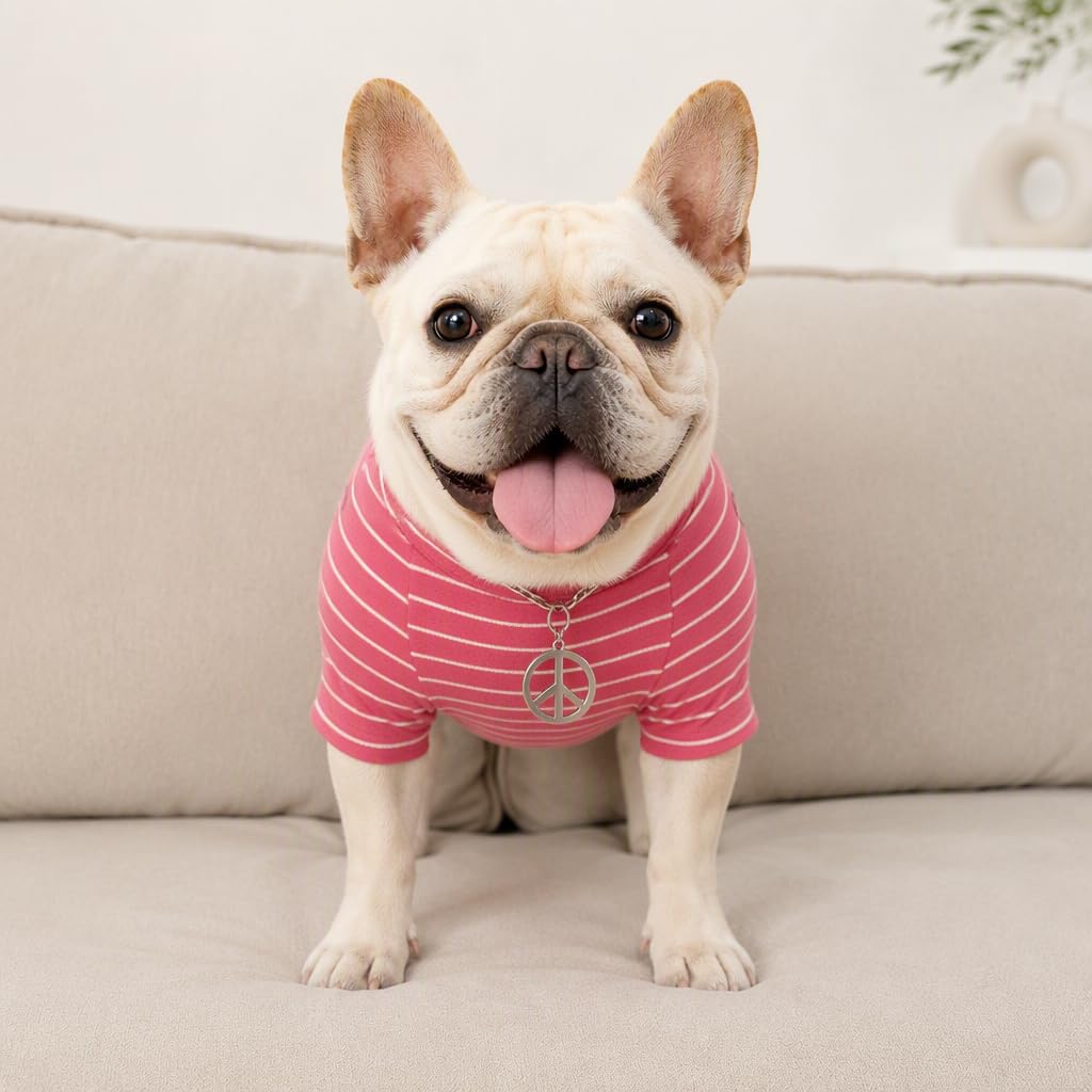 Wiz BBQT Pet Apparel in Pet XS - Chest 11.8", Pink