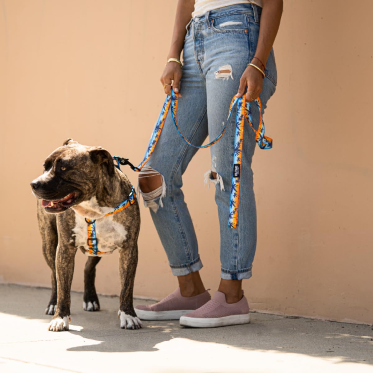 Wolfgang Man & Beast Animal Harness in Medium (5/8 Inch x 16-24 Inch), SunsetPalms Print