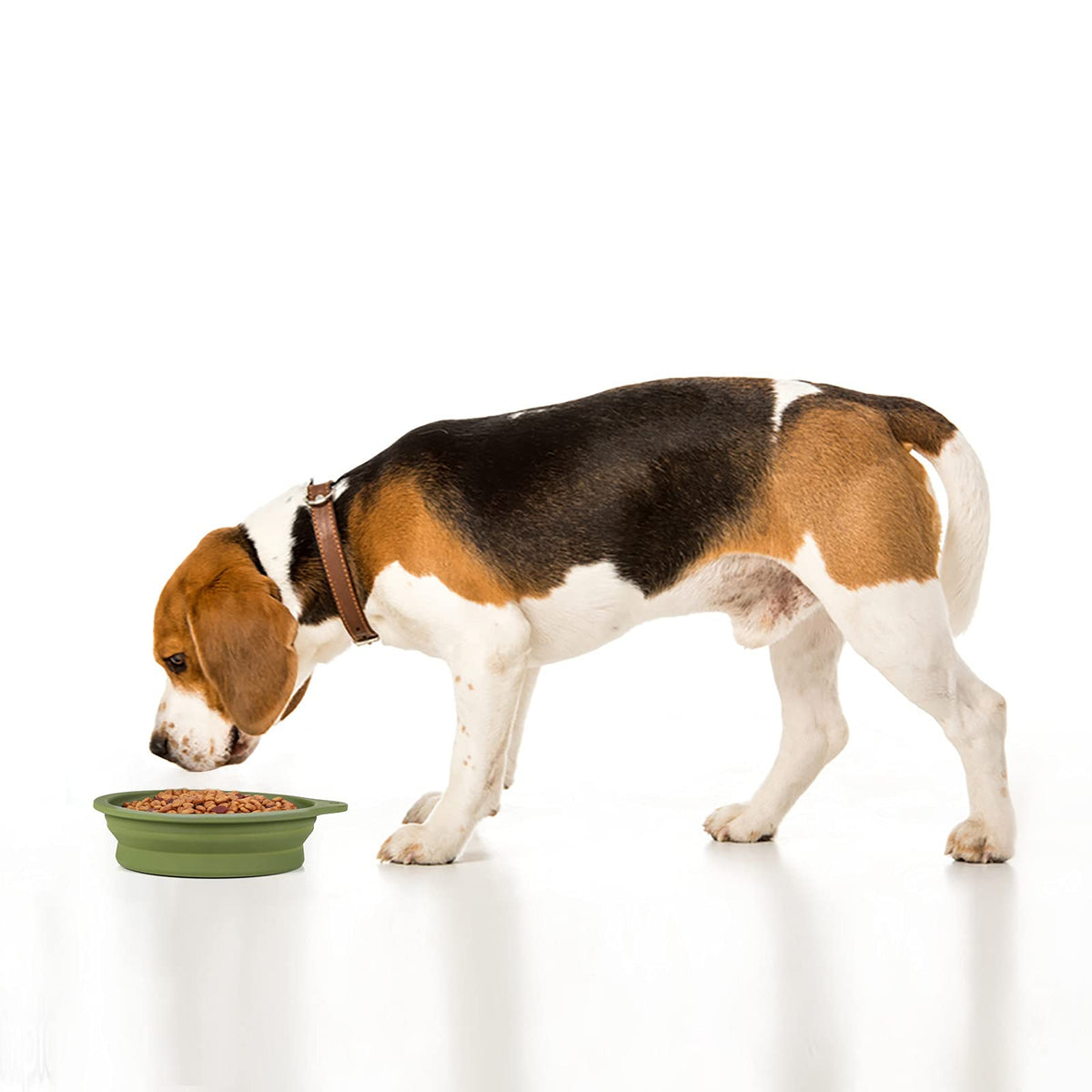 SLSON Pet Feeder in Avocado Green+Dark Green