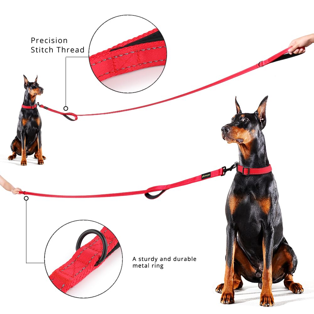 PLUTUS PET Leash in 6 FT, Red