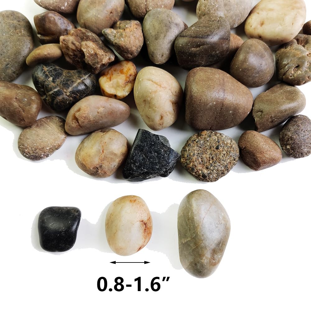 HappyFiller Outdoor Living in 2-4 cm, Mixed