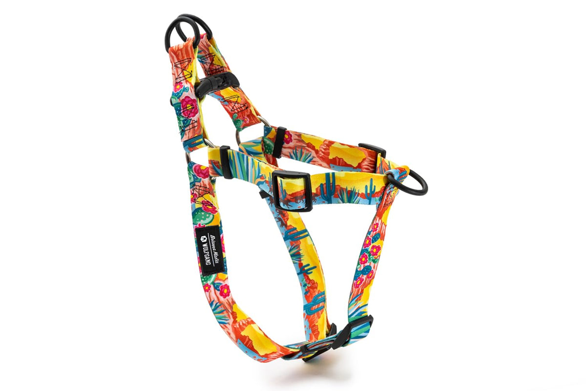 Wolfgang Man & Beast Animal Harness in Large (1 Inch x 20-30 Inch), PackLeader Print