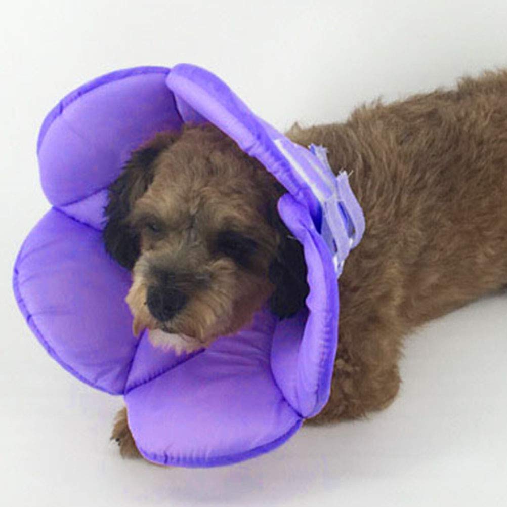 POPETPOP Animal Recovery Collar Cone in Purple
