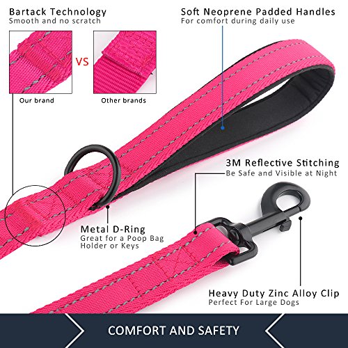 PLUTUS PET Leash in 4 FT, Pink