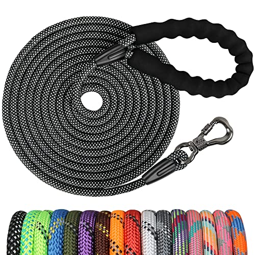 NTR Leash in 20ft*1/3", Black