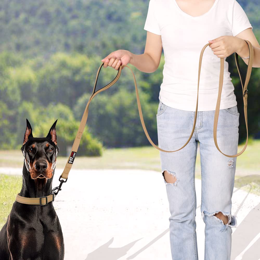 PLUTUS PET Leash in 4 FT, Brown