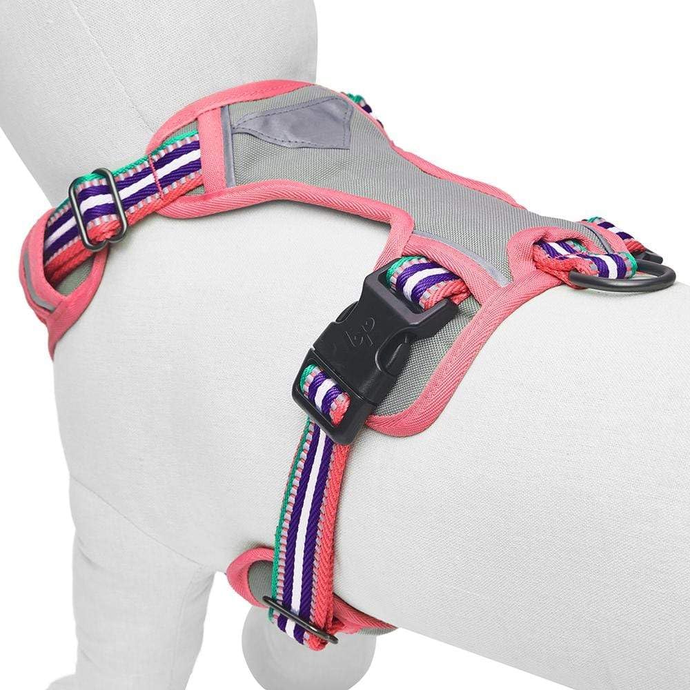 Blueberry Pet Animal Harness in Medium, Pink, Emerald and Orchid