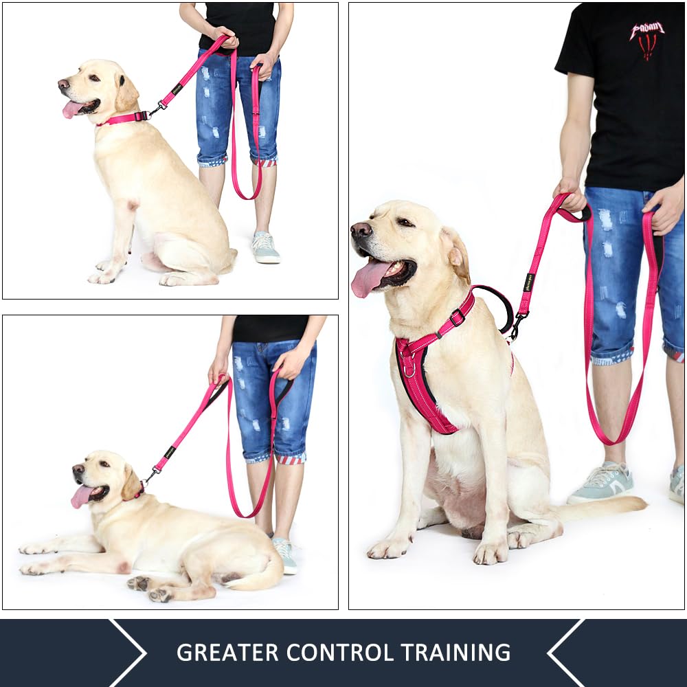 PLUTUS PET Leash in 6 FT, Pink