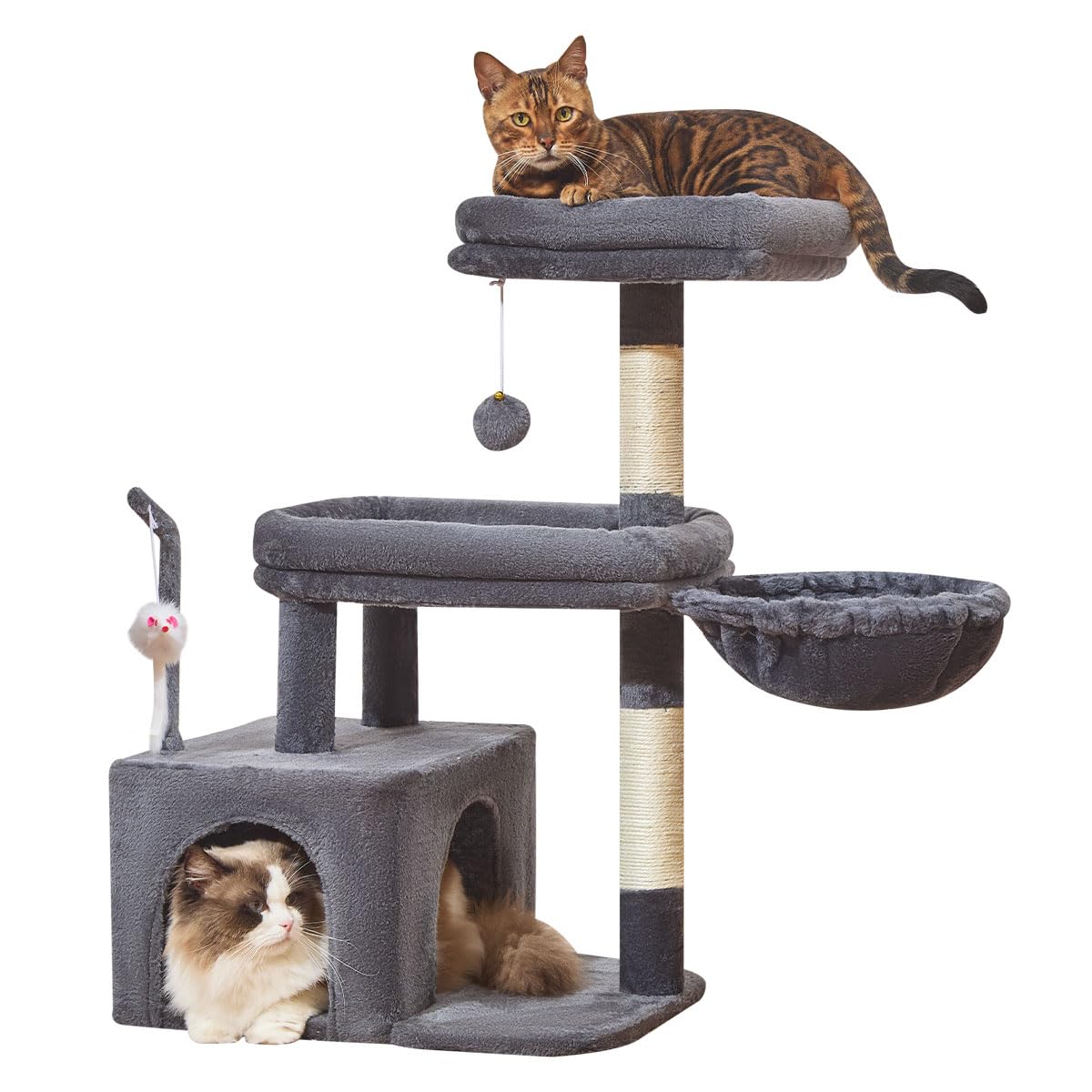 Taoqimiao Pet Activity Structure in L, Smoky Gray