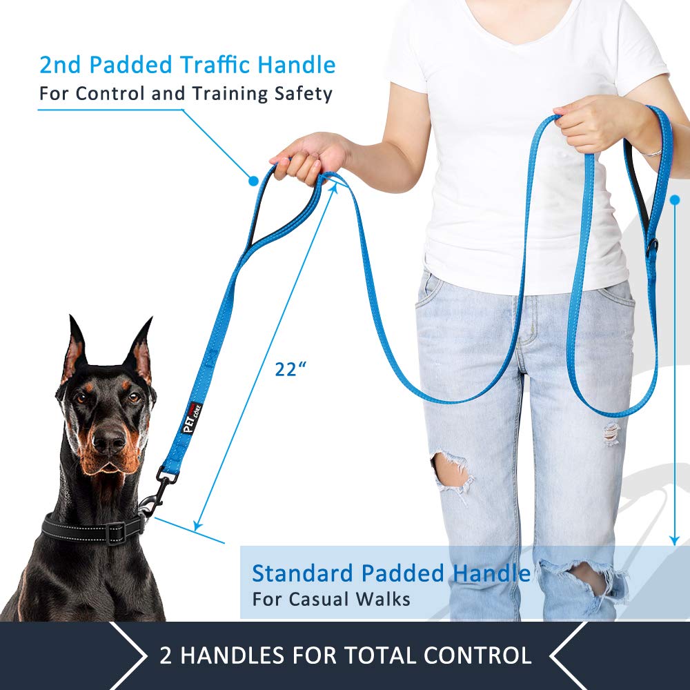 PLUTUS PET Leash in 4 FT, Blue