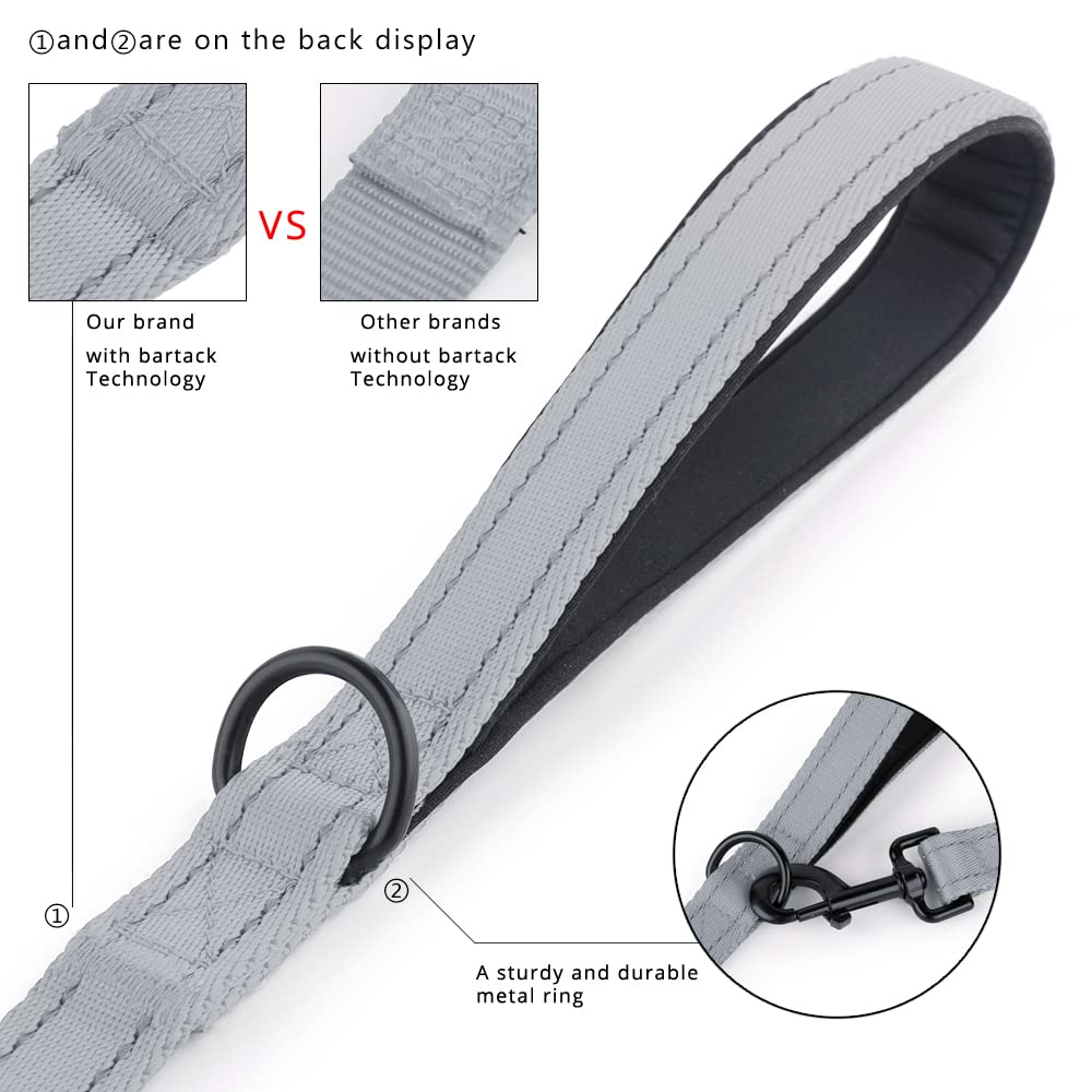 PLUTUS PET Leash in 4 FT, Gray