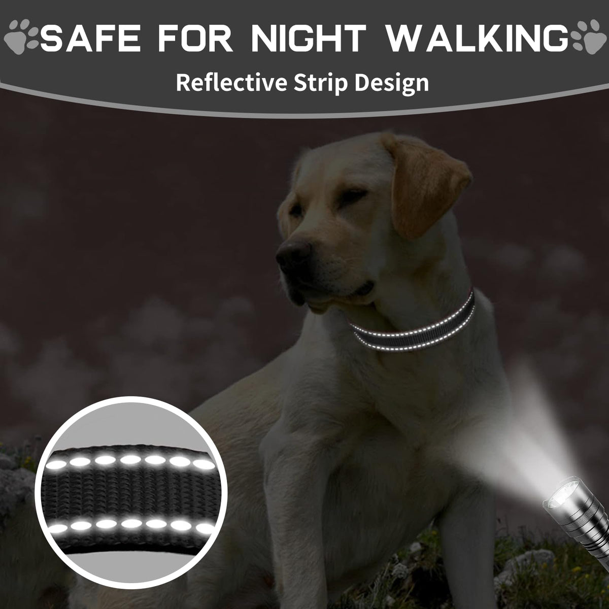 kazazoo Leash in M, collar