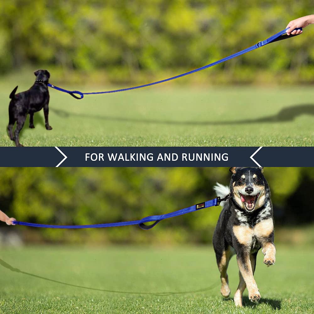 PLUTUS PET Leash in 4 FT, Navy Blue