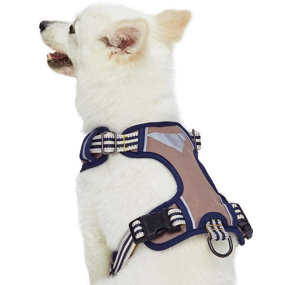Blueberry Pet Animal Harness in Small, Dark Green&Pink