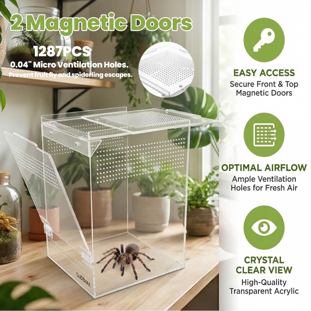 GlideMax Vivarium in 6x6x9inch, Clear