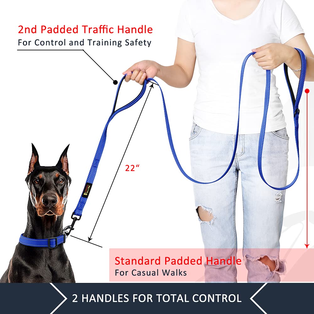 PLUTUS PET Leash in 4 FT, Navy Blue