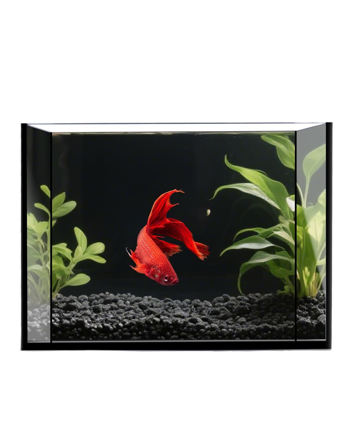 minilake Vivarium in 3 Gallon, Black