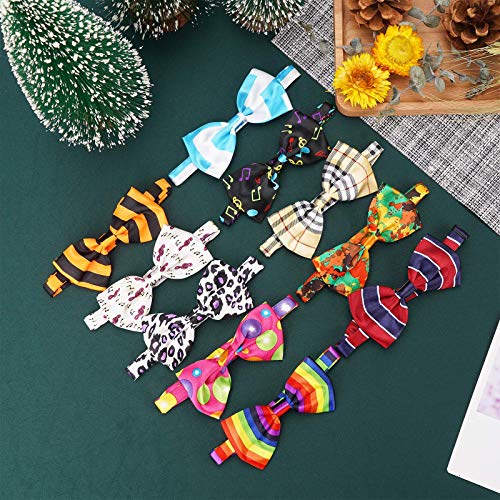 Segarty Pet Apparel in Small to Medium, 40pcs-Multi-colored
